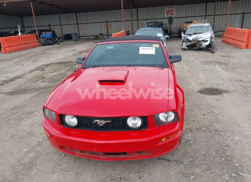 Photo 13 of 2008 Ford Mustang GT DELUXE/GT PREMIUM (VIN 1ZVHT85H485103876)