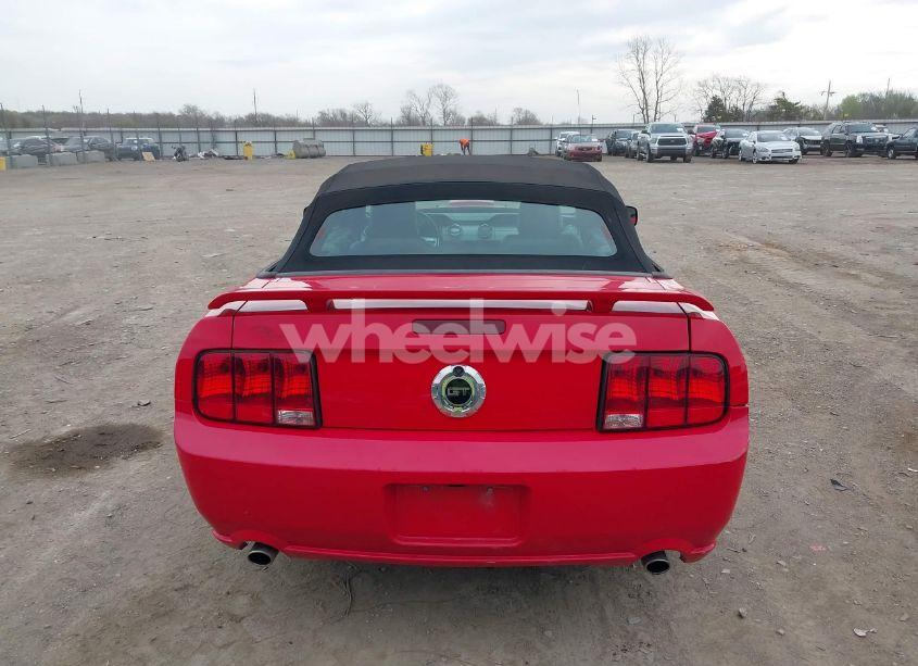 Photo 17 of 2008 Ford Mustang GT DELUXE/GT PREMIUM (VIN 1ZVHT85H485103876)