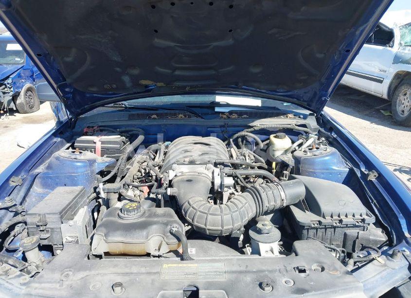 Photo 10 of 2006 Ford Mustang GT (VIN 1ZVHT85H565226972)