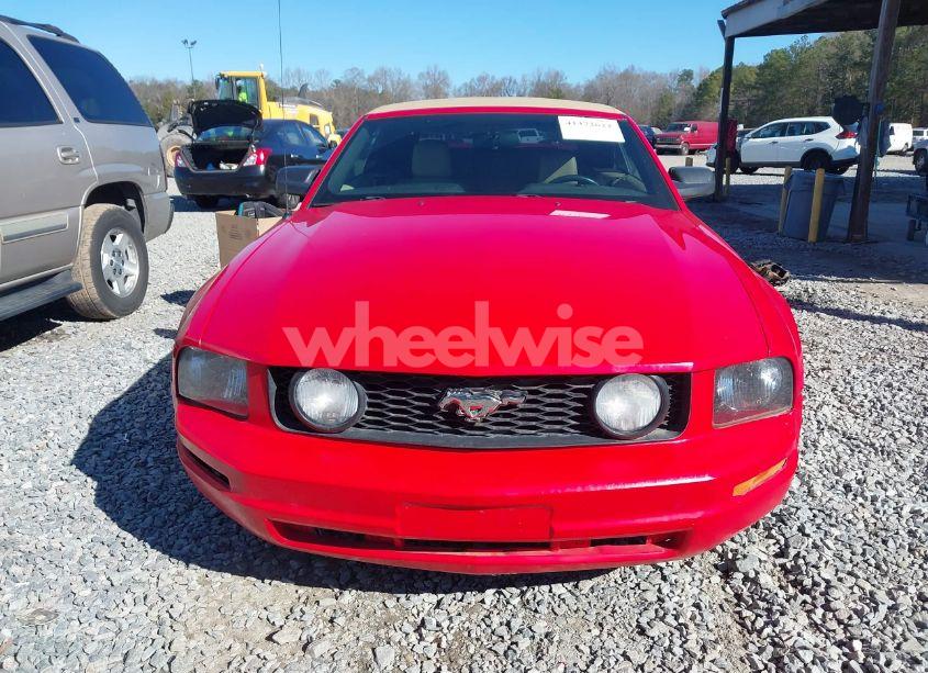 Photo 12 of 2006 Ford Mustang GT (VIN 1ZVHT85H565265397)
