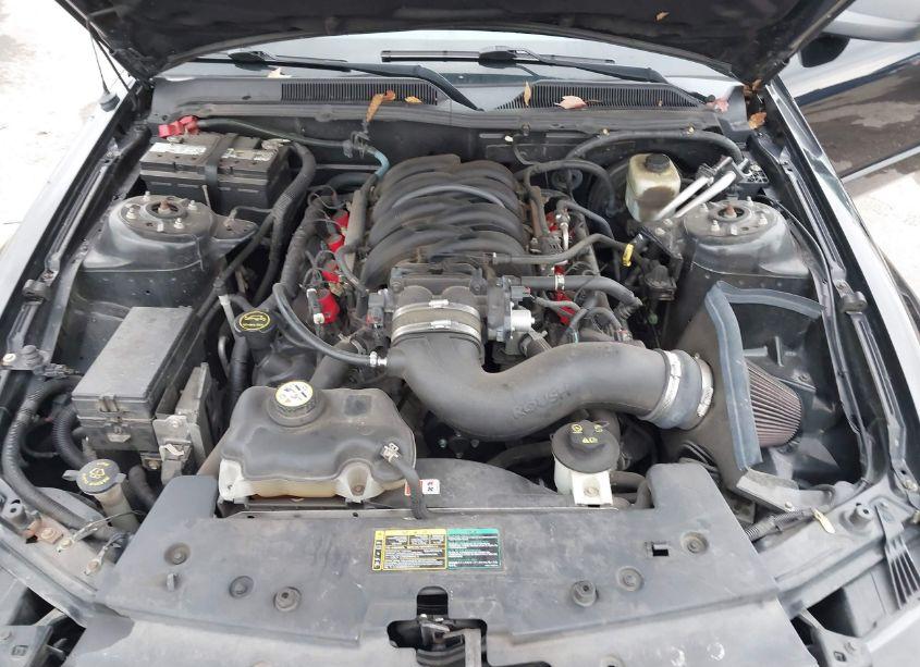 Photo 10 of 2005 Ford Mustang GT (VIN 1ZVHT85H755181547)