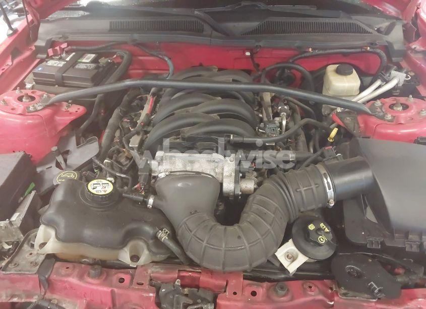 Photo 10 of 2006 Ford Mustang GT (VIN 1ZVHT85H965137826)