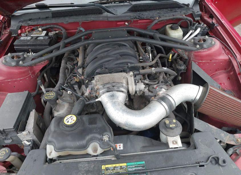 Photo 10 of 2005 Ford Mustang GT (VIN 1ZVHT85HX55196138)