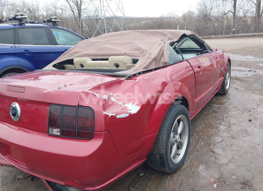 Photo 12 of 2005 Ford Mustang GT (VIN 1ZVHT85HX55196138)