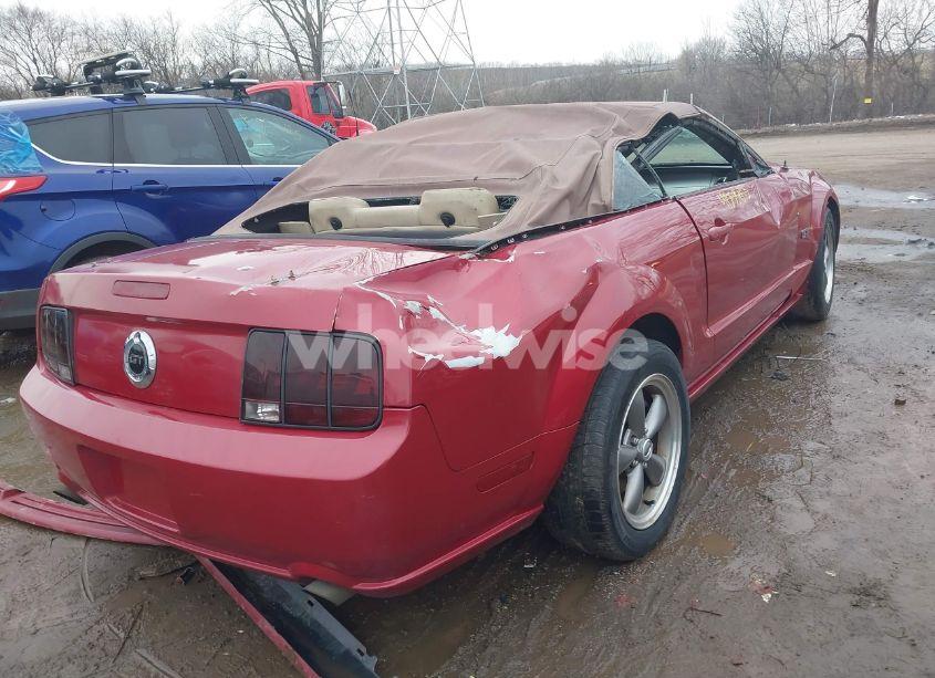 Photo 4 of 2005 Ford Mustang GT (VIN 1ZVHT85HX55196138)