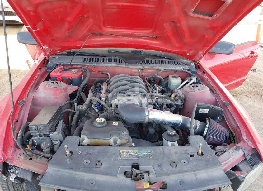 Photo 10 of 2006 Ford Mustang GT (VIN 1ZVHT85HX65138032)