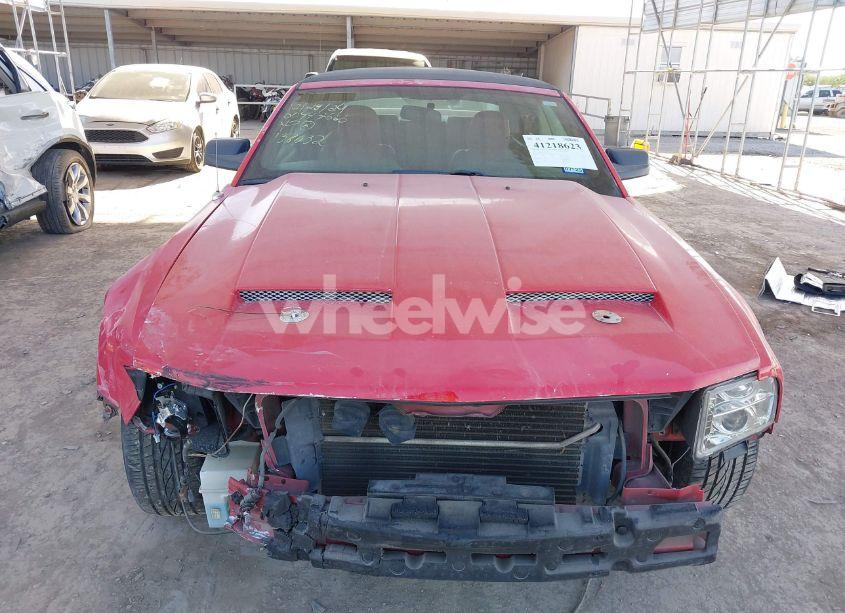 Photo 12 of 2006 Ford Mustang GT (VIN 1ZVHT85HX65138032)