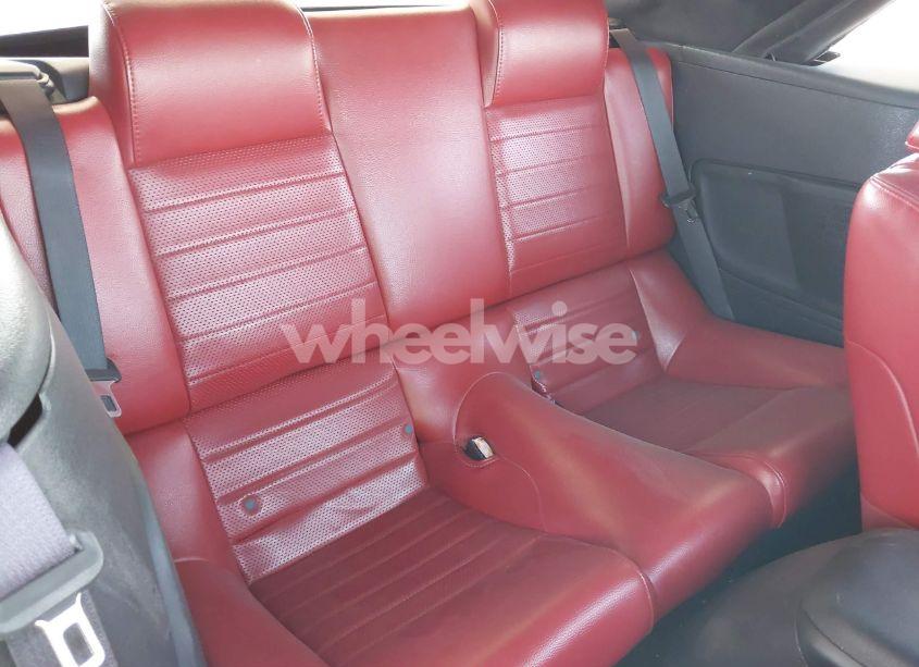 Photo 8 of 2006 Ford Mustang GT (VIN 1ZVHT85HX65138032)