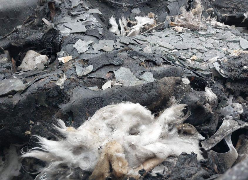 Photo 7 of 2010 Dodge Challenger SE (VIN 2B3CJ4DV8AH278621)