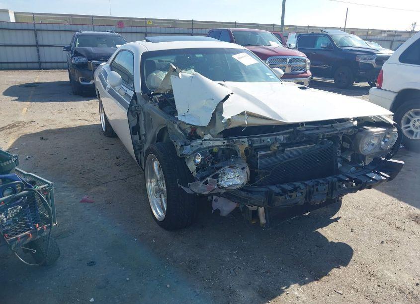 2010 Dodge Challenger R/T (VIN 2B3CJ5DT8AH195274) main photo