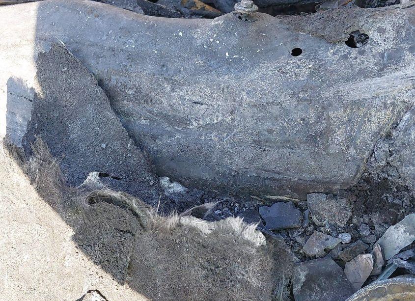 Photo 9 of 2011 Dodge Charger (VIN 2B3CL3CG7BH586405)