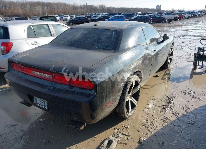Photo 4 of 2009 Dodge Challenger SE/SXT (VIN 2B3LJ44V69H577262)