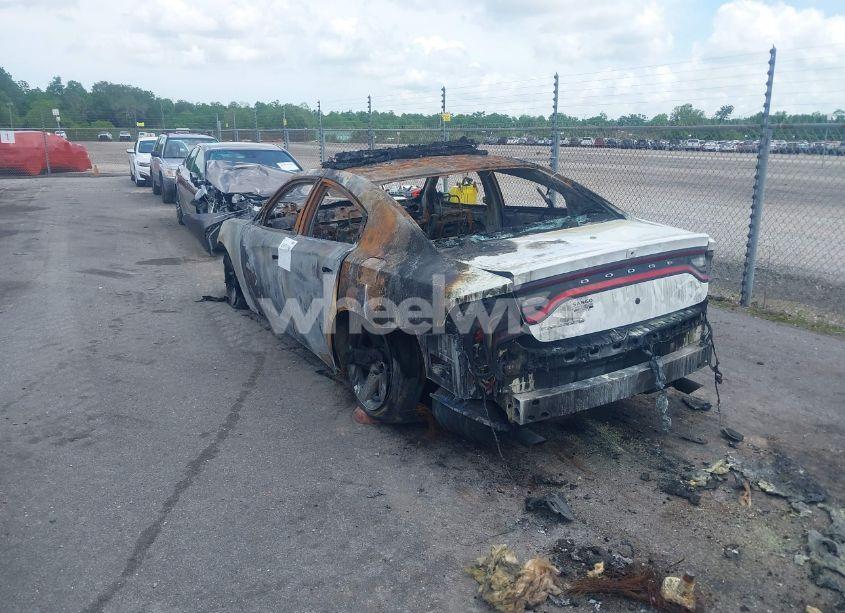 Photo 3 of 2019 Dodge Charger POLICE RWD (VIN 2C3CDXAG9KH544571)