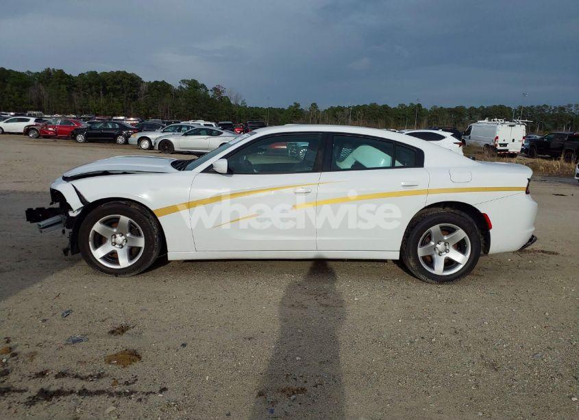 Photo 14 of 2019 Dodge Charger POLICE RWD (VIN 2C3CDXAT2KH514146)