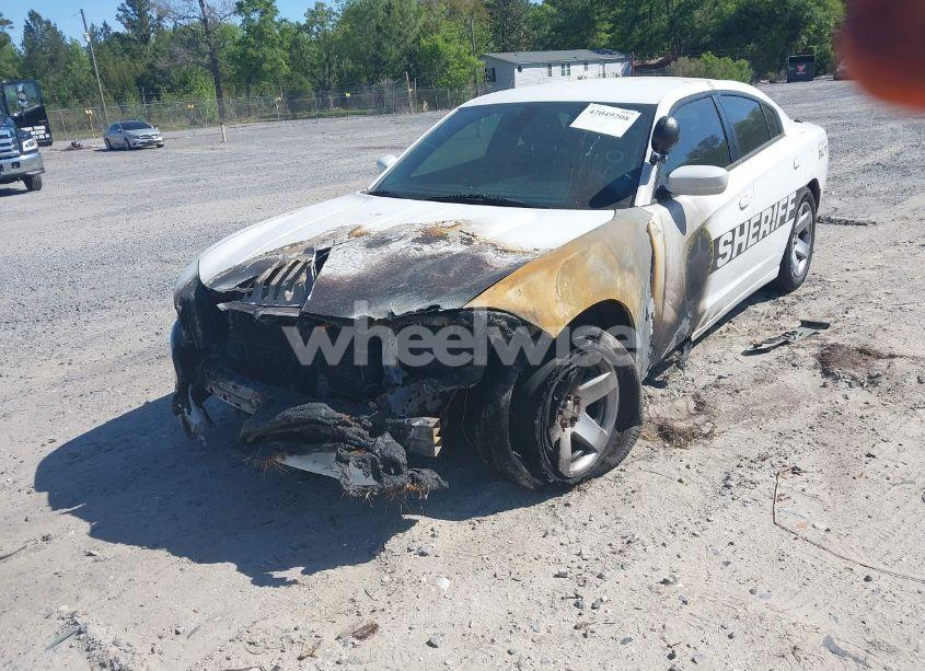Photo 6 of 2019 Dodge Charger POLICE RWD (VIN 2C3CDXAT9KH644876)