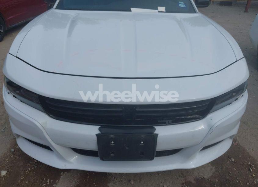 Photo 6 of 2023 Dodge Charger SXT (VIN 2C3CDXBG2PH530257)