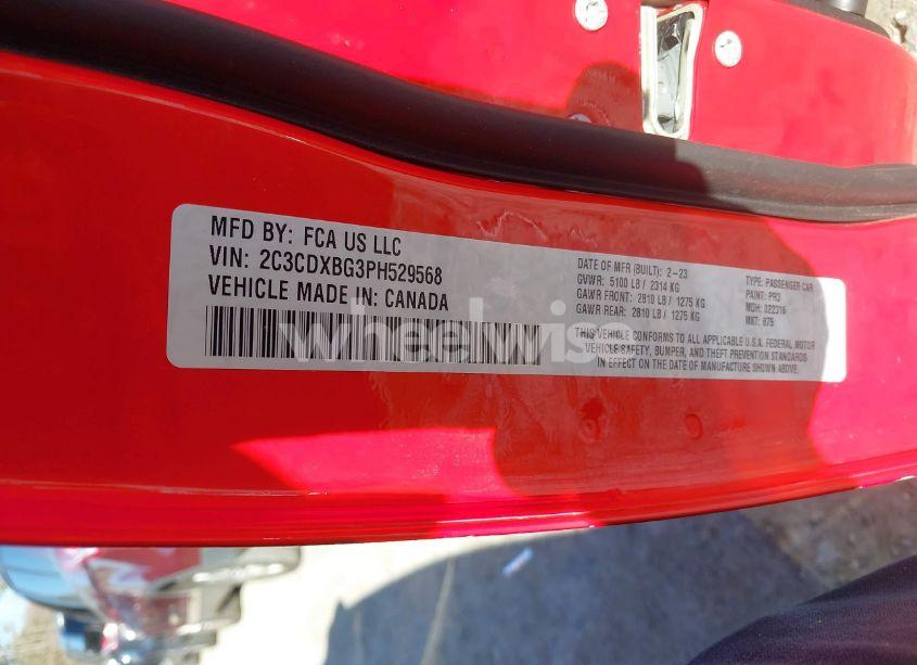 Photo 9 of 2023 Dodge Charger SXT (VIN 2C3CDXBG3PH529568)