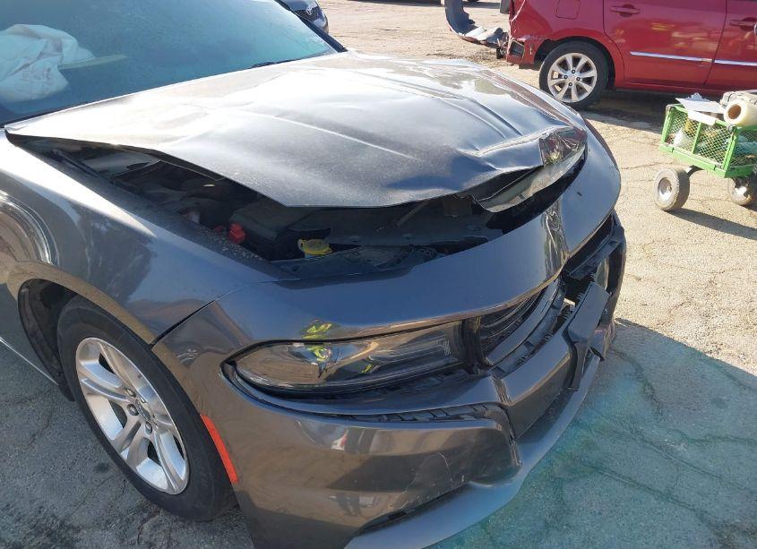 Photo 18 of 2019 Dodge Charger SXT RWD (VIN 2C3CDXBG7KH658289)