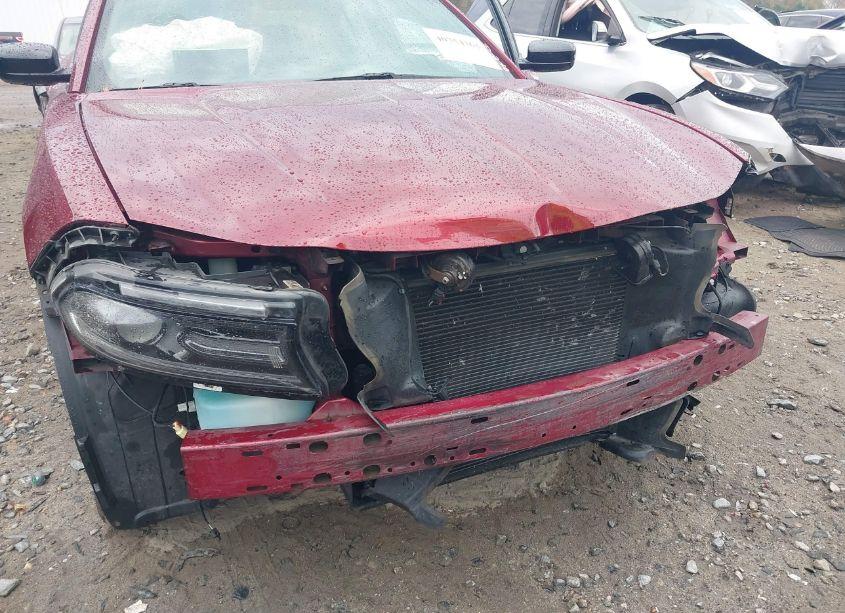 Photo 19 of 2019 Dodge Charger SXT RWD (VIN 2C3CDXBGXKH576170)