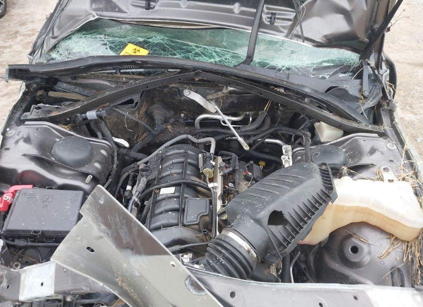 Photo 10 of 2022 Dodge Charger R/T (VIN 2C3CDXCT1NH235711)