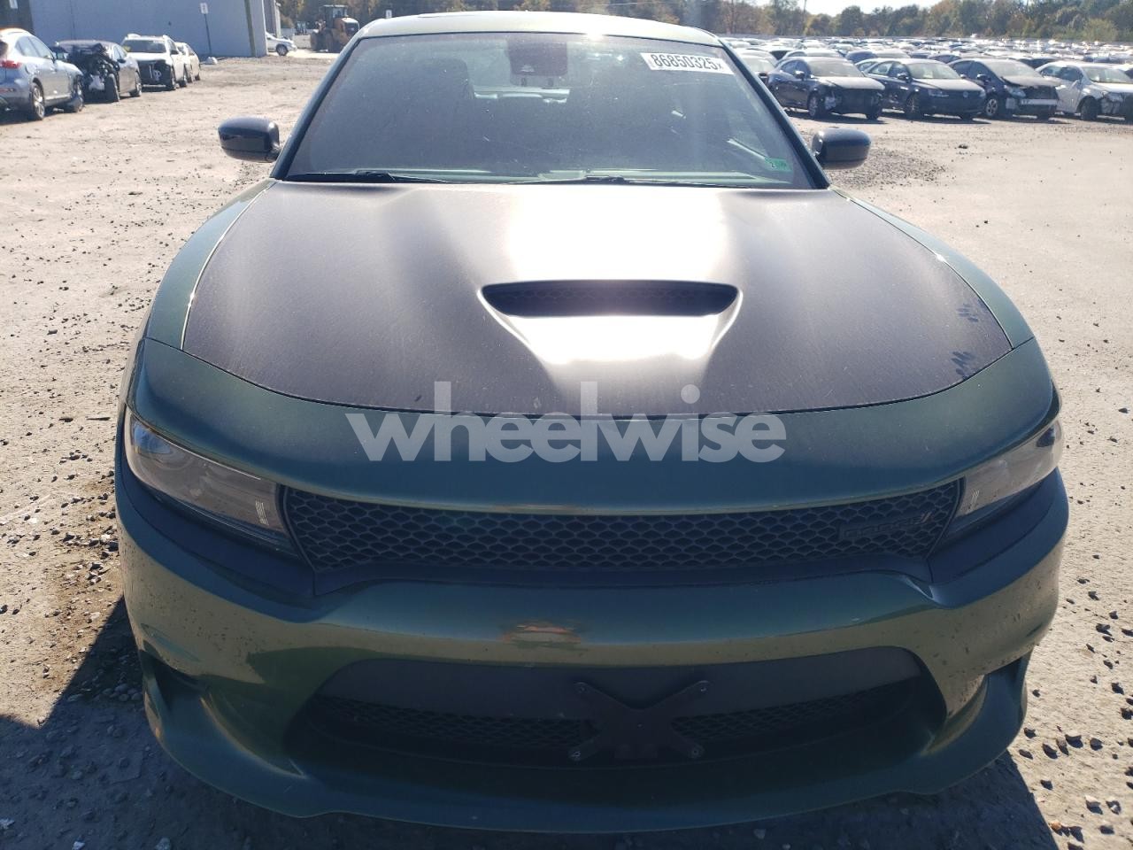 Photo 5 of 2023 DODGE CHARGER R/T (VIN 2C3CDXCT8PH504788)