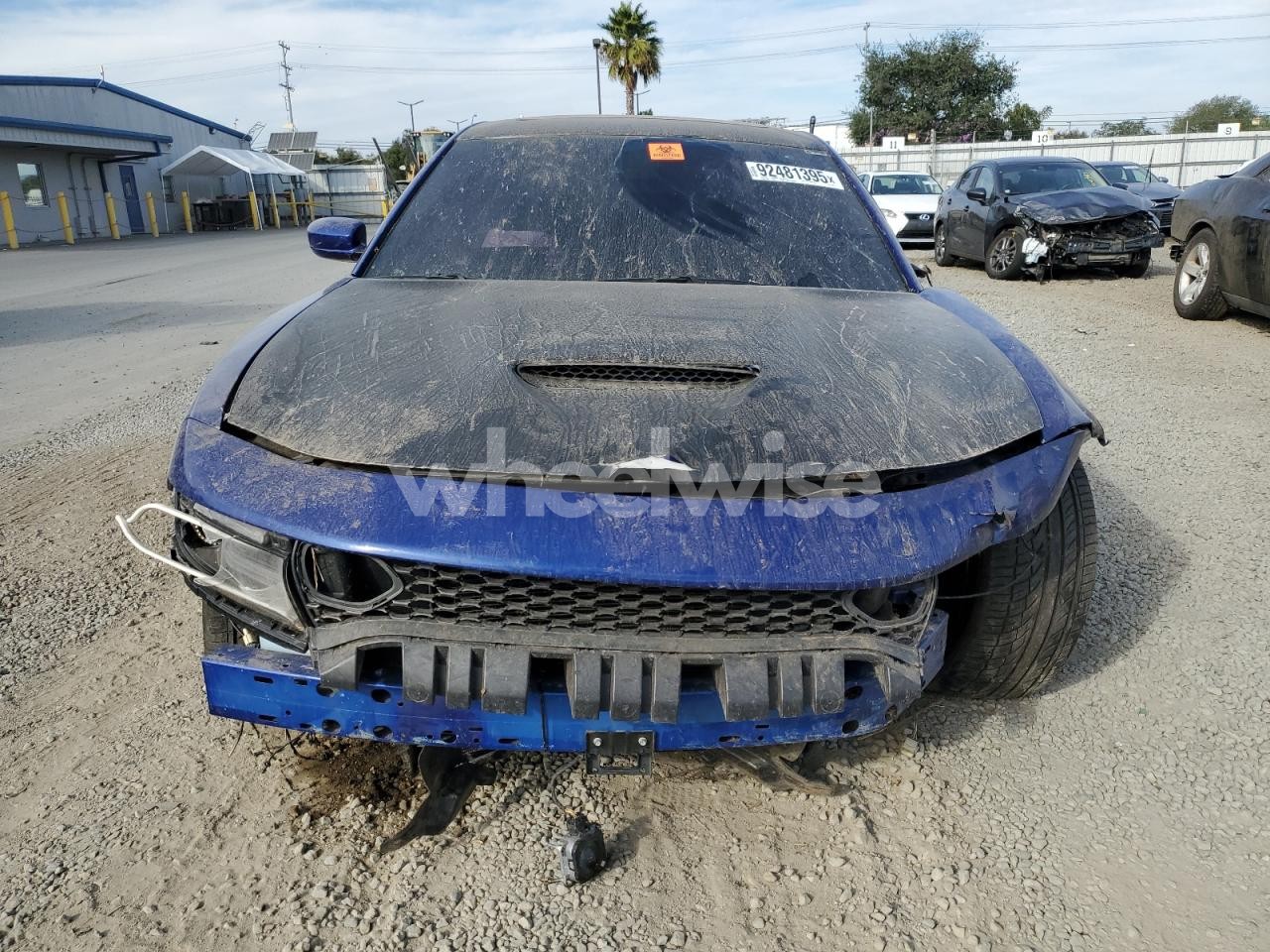 Photo 5 of 2020 DODGE CHARGER SCAT PACK (VIN 2C3CDXGJ3LH195511)