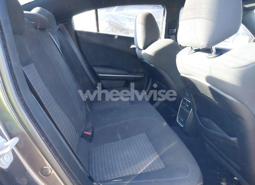 Photo 8 of 2019 Dodge Charger SCAT PACK RWD (VIN 2C3CDXGJ4KH658934)