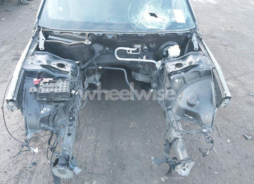 Photo 10 of 2019 Dodge Charger SCAT PACK RWD (VIN 2C3CDXGJ9KH510990)