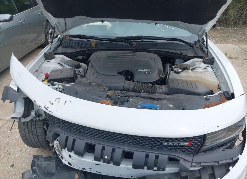 Photo 10 of 2023 Dodge Charger GT (VIN 2C3CDXHG3PH554526)