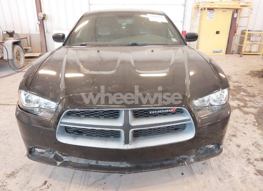 Photo 6 of 2013 Dodge Charger SXT PLUS (VIN 2C3CDXHG7DH529544)