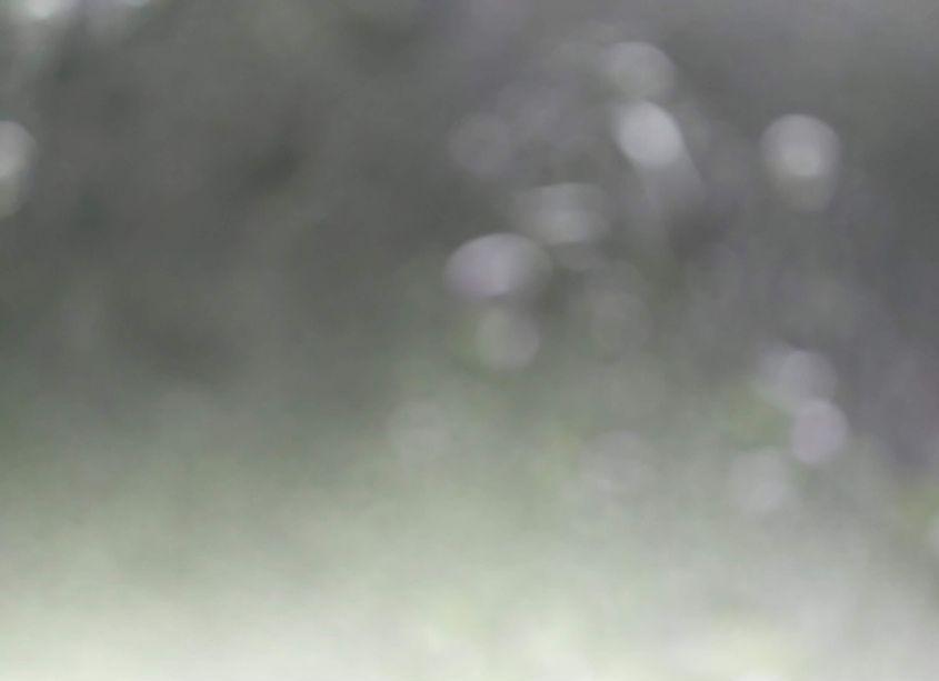 Photo 10 of 2012 Dodge Charger SXT (VIN 2C3CDXHG8CH189982)