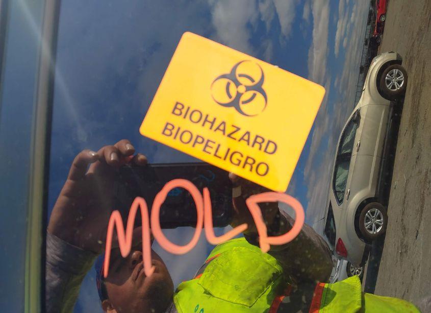 Photo 6 of 2019 Dodge Charger GT RWD (VIN 2C3CDXHG9KH747059)