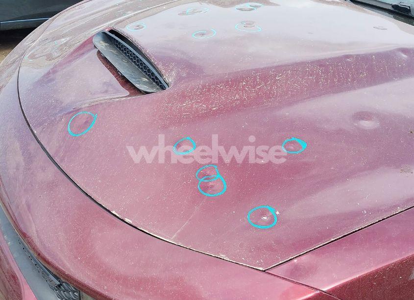 Photo 6 of 2021 Dodge Charger GT RWD (VIN 2C3CDXHG9MH639950)