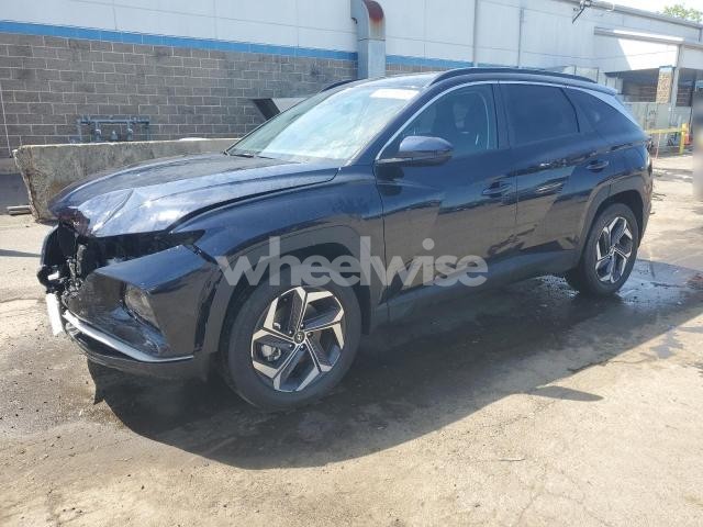 Photo 10 of 2024 HYUNDAI TUCSON SEL (VIN 2C3CDXJG4LH154446)
