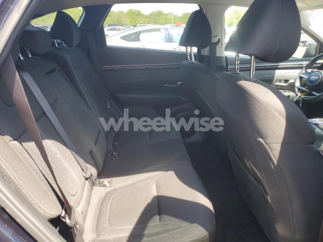 Photo 11 of 2024 HYUNDAI TUCSON SEL (VIN 2C3CDXJG4LH154446)