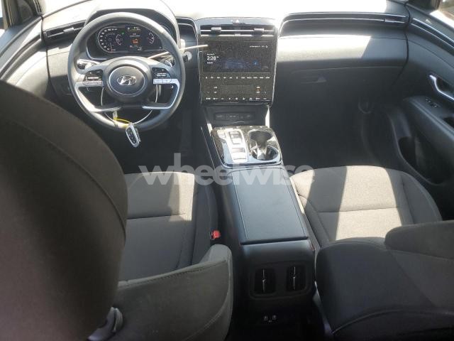 Photo 5 of 2024 HYUNDAI TUCSON SEL (VIN 2C3CDXJG4LH154446)