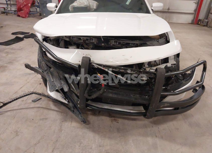 Photo 6 of 2019 Dodge Charger POLICE AWD (VIN 2C3CDXKT7KH600454)