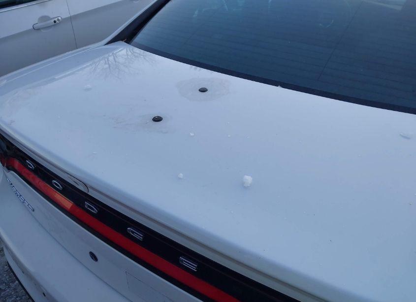 Photo 19 of 2019 Dodge Charger POLICE AWD (VIN 2C3CDXKT9KH581969)