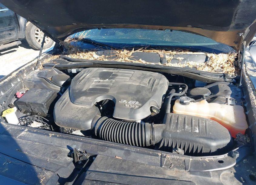 Photo 10 of 2019 Dodge Challenger SXT (VIN 2C3CDZAG0KH746582)