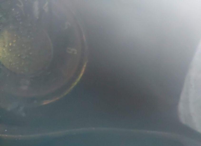 Photo 15 of 2016 Dodge Challenger SXT PLUS (VIN 2C3CDZAGXGH264855)