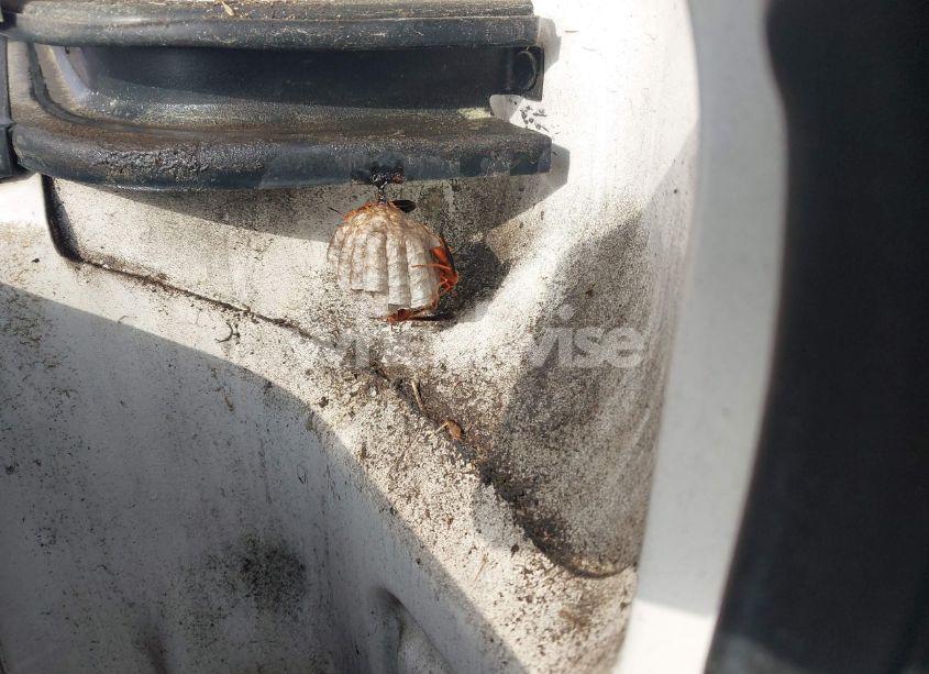 Photo 14 of 2013 Dodge Grand CARAVAN SE (VIN 2C4RDGBG0DR515915)