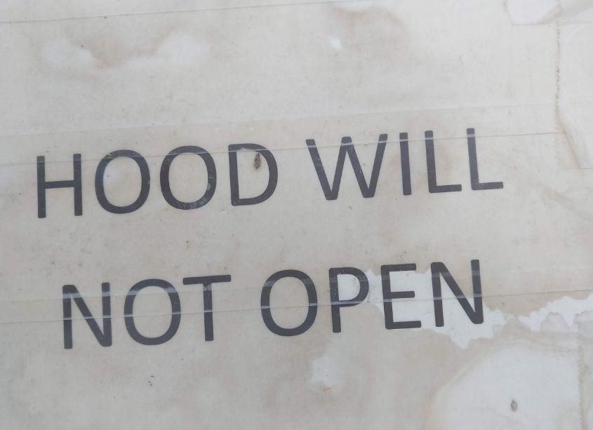 Photo 10 of 2019 Dodge Grand CARAVAN SXT (VIN 2C4RDGCG7KR775837)