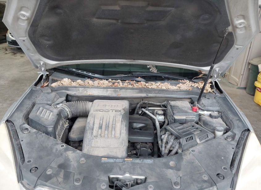 Photo 10 of 2010 Chevrolet Equinox LT (VIN 2CNALDEW2A6364571)