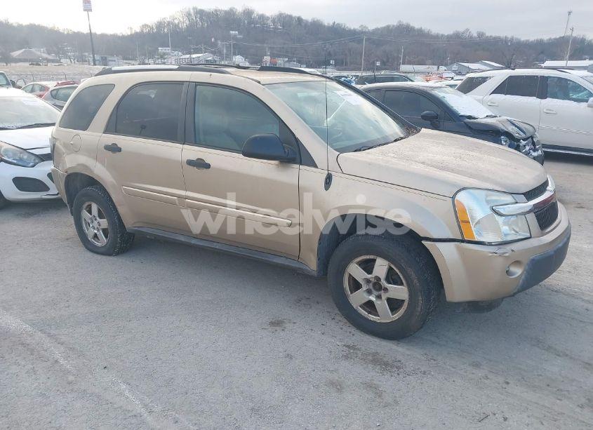 2005 Chevrolet Equinox LS (VIN 2CNDL13F456170564) main photo