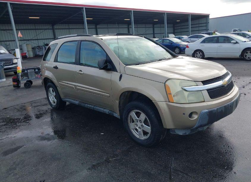 2006 Chevrolet Equinox LS (VIN 2CNDL13F866206712) main photo