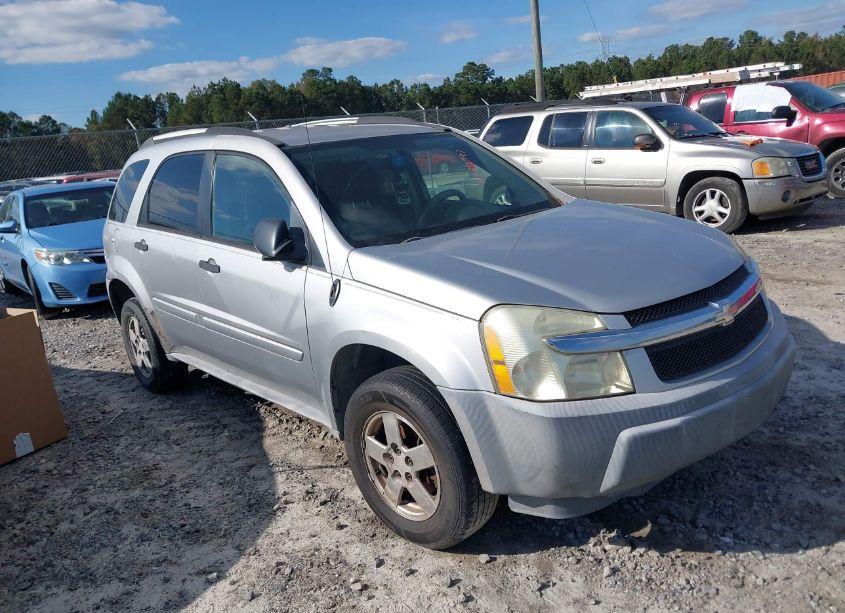 2005 Chevrolet Equinox LS (VIN 2CNDL13FX56197185) main photo