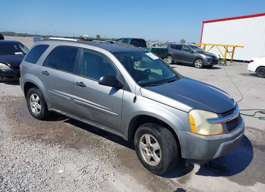 2005 Chevrolet Equinox LS (VIN 2CNDL23F256089861) main photo