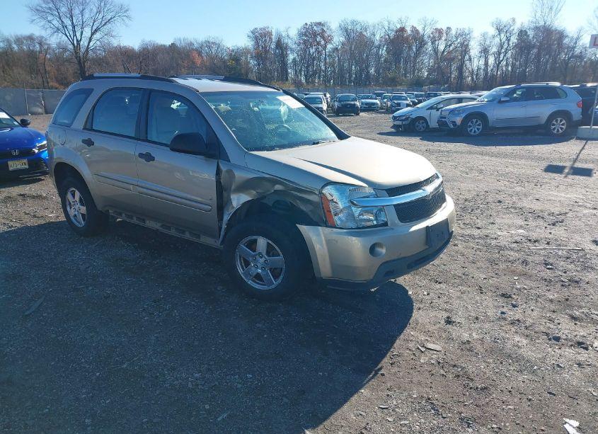 2008 Chevrolet Equinox LS (VIN 2CNDL23F786060747) main photo