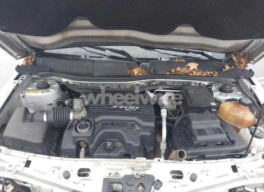 Photo 10 of 2009 Chevrolet Equinox LT (VIN 2CNDL43F996206515)