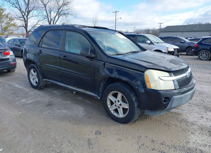 2005 Chevrolet Equinox LT (VIN 2CNDL63F156030341) main photo